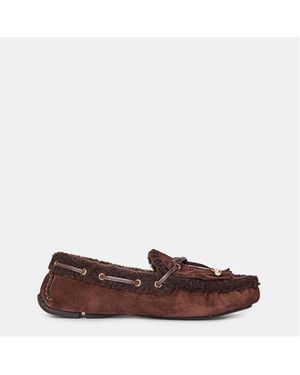 Jimmy Choo Boat Shoes - Brown