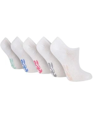 Pringle of Scotland 5 Pack Trainer Sock Ladies - White