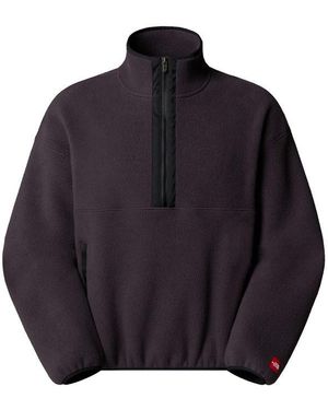 The North Face M Redbox 1/2 Zip Fleece - Blue