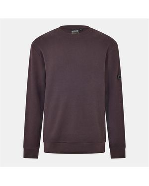 Barbour Curve Crew Sweatshirt - Purple