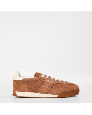 Polo Ralph Lauren Hester Runners - Brown