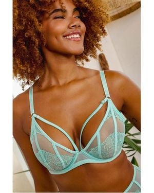 Playful Promises Valerie Aqua Embroidery & Mesh Plunge Bra - Green