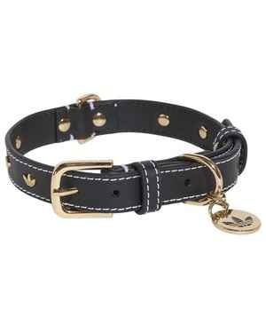 adidas Originals Dog Collar - Brown
