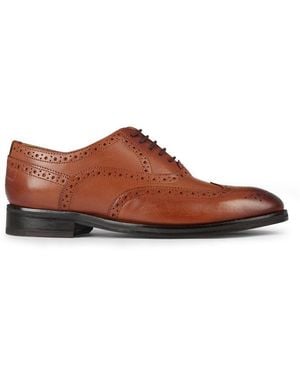 Ted Baker Amaiss Brogue Shoes - Brown