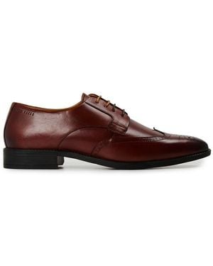 Ted Baker Brogue - Brown