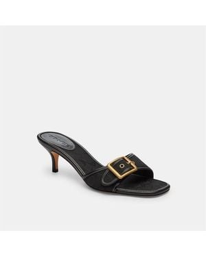 COACH Margot Kitten Heeled Mules - Black