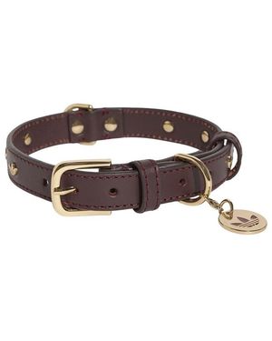 adidas Originals Dog Collar - Brown