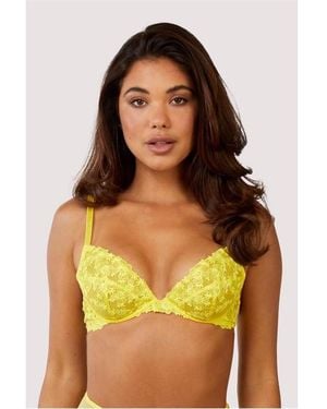 Playful Promises Audre Embroidery Bra - Green