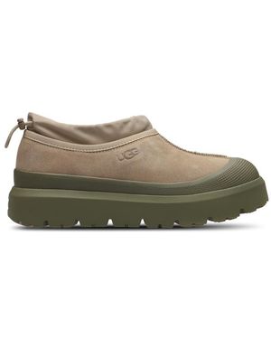 UGG Tasman Herren Schuhe - Grün