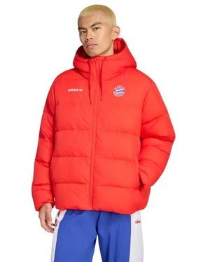 adidas Fc Bayern Muenchen Eqt Dw Jacket Uomo - Rosso