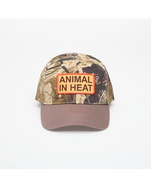 Pleasures Heat Snapback - Multicolor