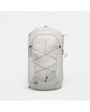 Salomon Rucksack Xt 15 Paloma/ Cloudburst - Grau