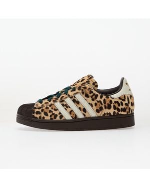 adidas Originals Sneakers Adidas Superstar Ii W Dark/ Ivory/ Metallic - Brown