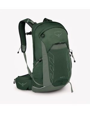 Osprey Rucksack Talon 22 Canopy/ Pine Leaf - Grün