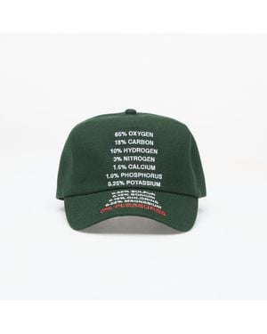 Pleasures Atmosphere Snapback - Green