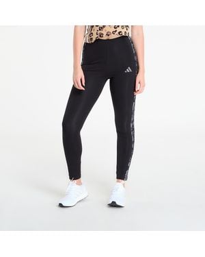 adidas Originals Pants Adidas Animal Print 3-Stripes High Rise Leggings/ Five - Blue