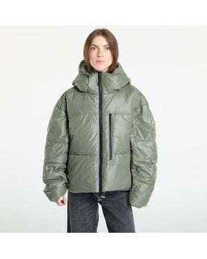 adidas Originals Jacket Adidas By Stella Mccartney Short Padded Winter Jacket - Green