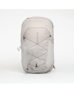 Salomon Backpack Xt 25 Paloma/ Cloudburst - Gray