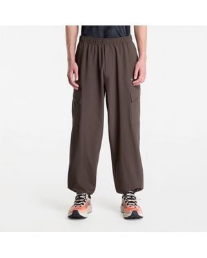 FTSHP Broeken X Adidas Terrex Daybreaker Cargo Pants - Bruin