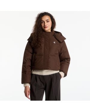 Calvin Klein Jacket Jeans Matte Detachable Slv Short Down - Brown