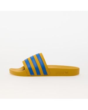 adidas Originals Baskets adidas adilette bold gold/ blue bird/ bold gold eur 35.5 - Bleu