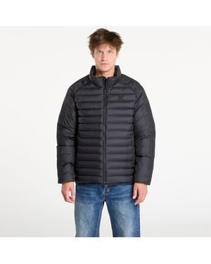 adidas Originals Jacket Adidas Padded Collar Jacket - Black