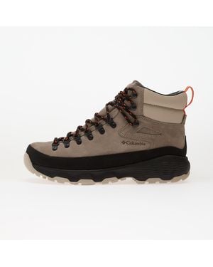 Columbia Sneakers Newton Alpine Pt Kettle/ Tangy Eur - Braun