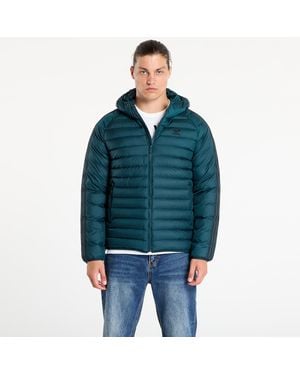 adidas Originals Jacket Adidas Synthetic Hooded Jacket Aurora Ivy - Blue