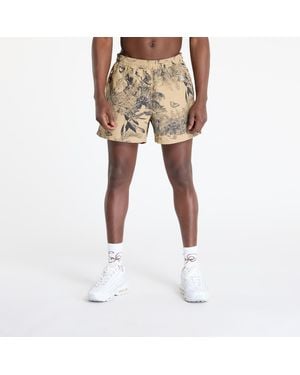Nike Acg "Reservoir Goat" Print Shorts Parachute/ Summit - Neutro