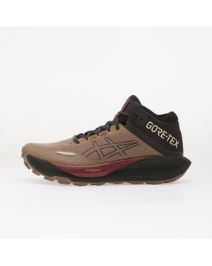 Asics Sneakers Gel-Trabuco Mt Gtx Taupe/ Graphite - Brown