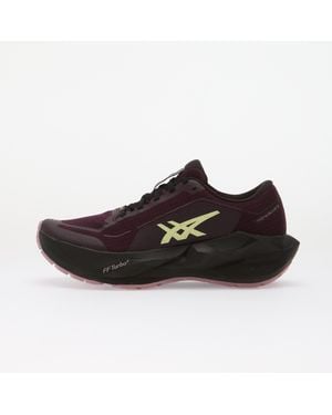 Asics Sneakers Novablast 6 Gtx Dark Aubergine - Black