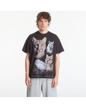 PUMA T-Shirt Dylan Wildcat Tee Ii - Black
