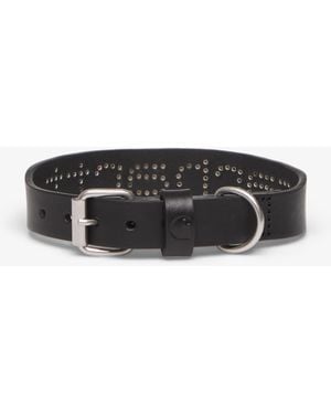 Carhartt Script Studs Dog Collar - Schwarz