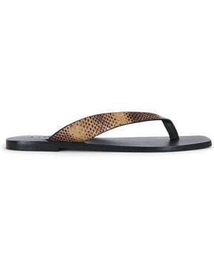 A.Emery Kinto Sandal - Multicolor