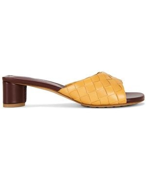 Bottega Veneta Livia Kitten Heel Mule Sandal - Multicolor