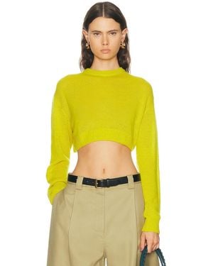 Balenciaga Cropped Crewneck Sweater - Yellow