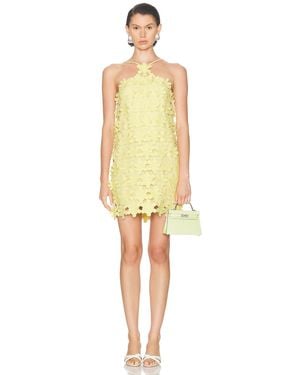 Alexis Lily Dress - Yellow