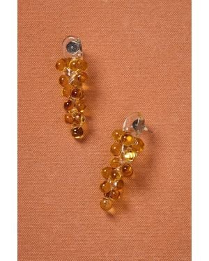 Suplais For Fwrd Posidonia Earrings - Brown
