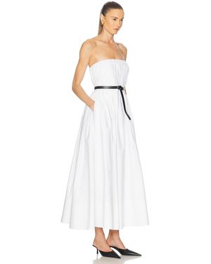 knee length dresses for ladies Cara Cara Santiago Joelle Dot Bustier Midi Dress