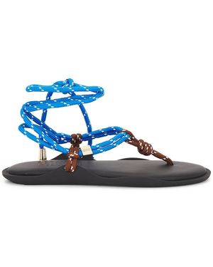 FLOWZE Flo Twin Sandal - Blue