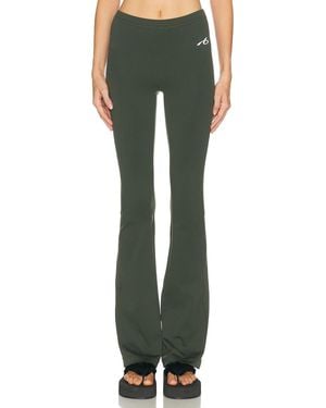 Balenciaga Flared Legging - Green