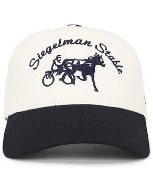 Siegelman Stable Five Panel Hat - White