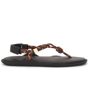 FLOWZE Flo Sandal - Brown