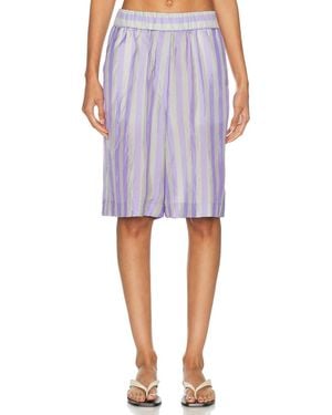Dries Van Noten Pomy Short - Purple