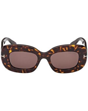 Tom Ford Islay Sunglasses - Brown