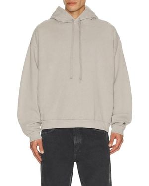 Agolde Salford Hoodie - Gray