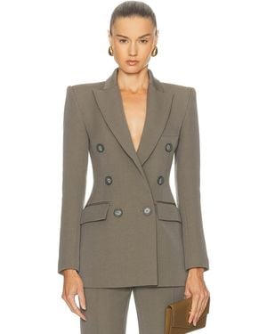 Alex Perry Double Breasted Fitted Blazer - Multicolor