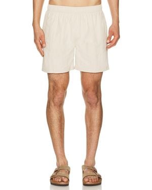 AUTO-REPLY 5.5" Solid Sebastian Swim Trunk - White