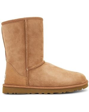 UGG Classic Short - Brown