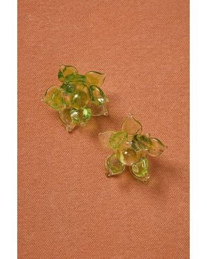 Suplais For Fwrd Pavonia Earrings - Brown